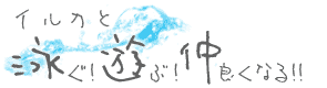 イルカと泳ぐ！遊ぶ！仲良くなる！！