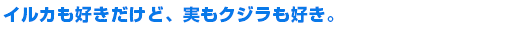 海のことなら何でもおまかせ！イルカ・お魚、生き物大好き！