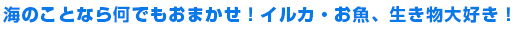 海のことなら何でもおまかせ！イルカ・お魚、生き物大好き！