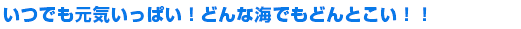 海のことなら何でもおまかせ！イルカ・お魚、生き物大好き！