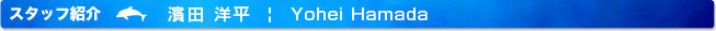 スタッフ紹介