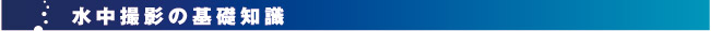 水中撮影の基礎知識