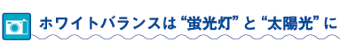 ホワイトバランスは”蛍光灯”と“太陽光”に