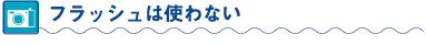 フラッシュは使わない