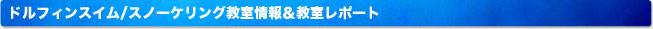 ドルフィンスイム/スノーケリング教室情報＆教室レポート