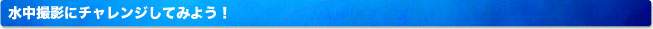 水中撮影にチャレンジしてみよう！