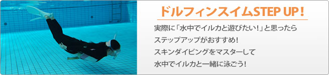 ステップアップチャートはこちらから