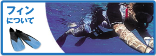 フィンについて