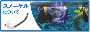 スノーケルについて