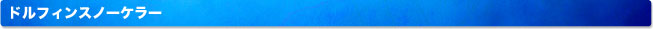 ドルフィンスノーケラー