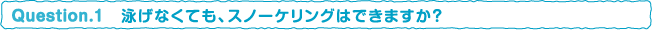 泳げなくても、スノーケリングはできますか？