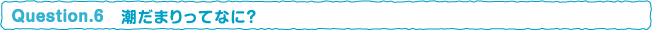 潮だまりってなに？