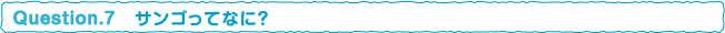 サンゴってなに？